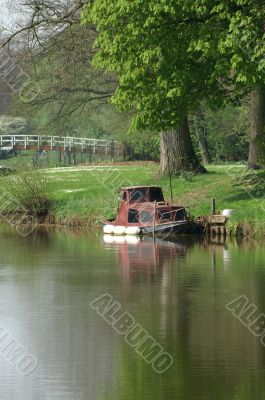 mored boat before a tree