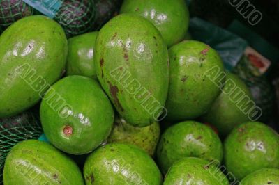 Avocados