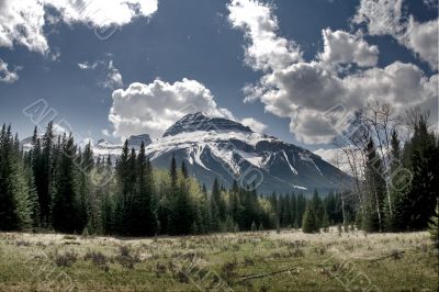 Canadian Nature