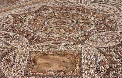 Detail, Roman mosaic floor