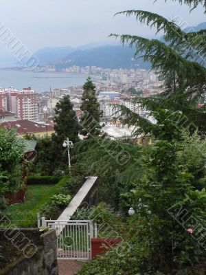 View of coastal city from tea garden