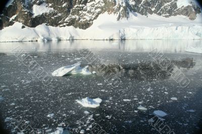 Brash ice, icebergs