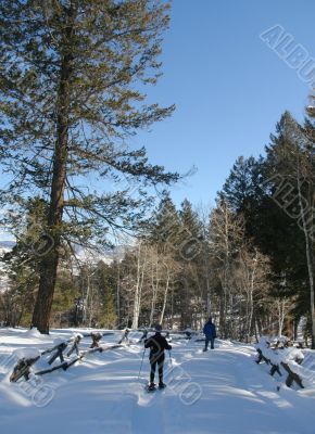 Snowshoe hiker, blue sky
