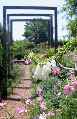 Flower garden