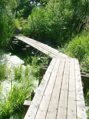 Gangway on by the swamp