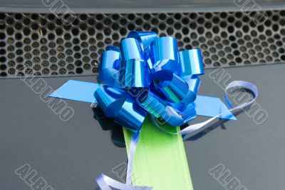 Ornament by the wedding car