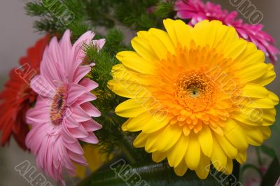 Wedding bouquet of gerbera