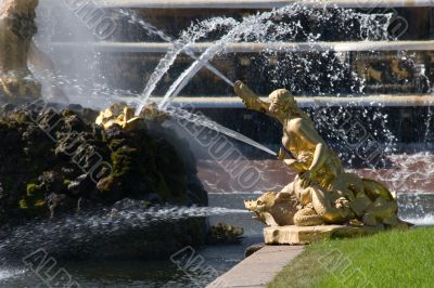Fountain at the Peterhof Palace.
