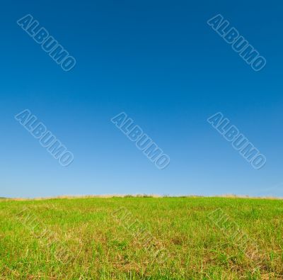 green grass and blue sky