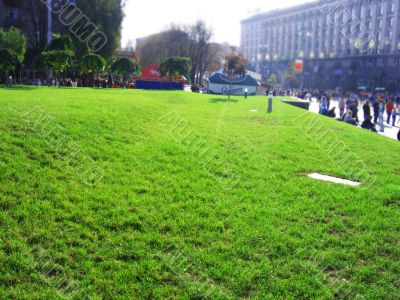 City lawn
