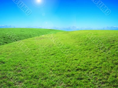 Bright green meadow and blue sky