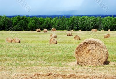 Hay bales