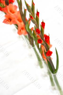 flower decorations vertical
