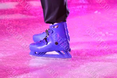 Blue Skates on Purple