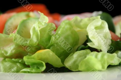 Lettuce Background