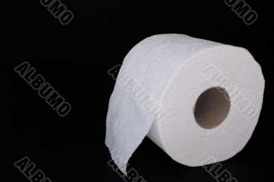 Toilet Paper