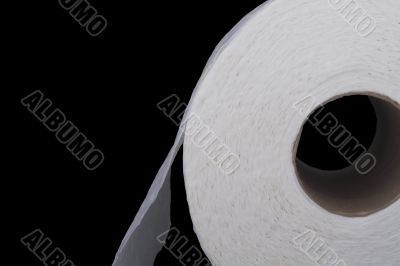 Toilet Paper