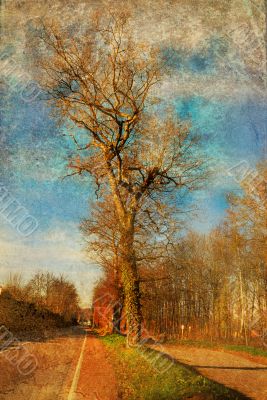 old-fashioned landscape