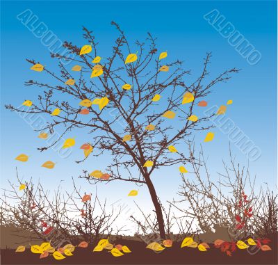 autumn vector illustration
