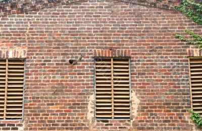 Old Brick and Vines