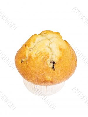 Blueberry Muffin