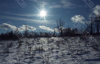 Winter Landscape