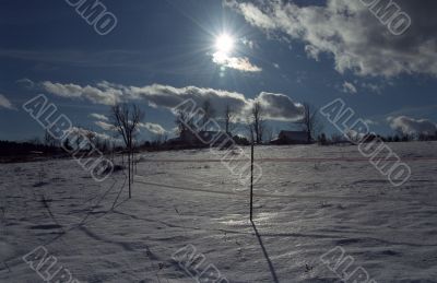 Winter Landscape