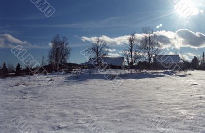 Winter Landscape
