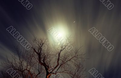 Night Shot