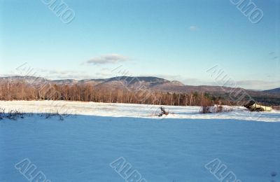 Winter Landscape