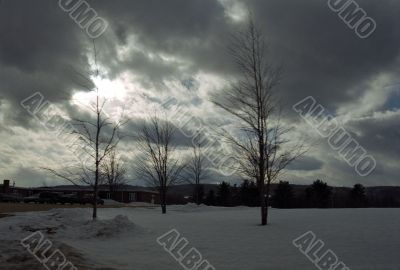 Winter Landscape