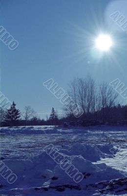 Winter Landscape