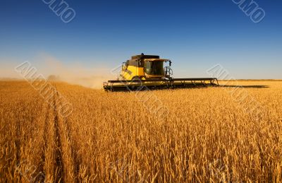 Harvest work