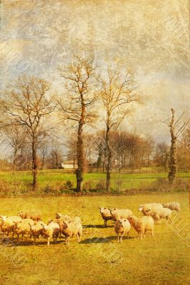 old-fashioned landscape