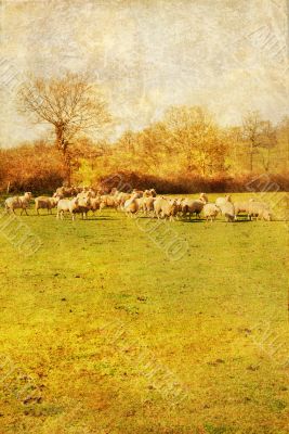 old-fashioned landscape