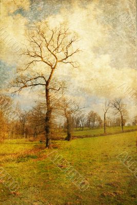 old-fashioned landscape