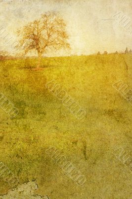 old-fashioned landscape