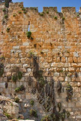 Wall.