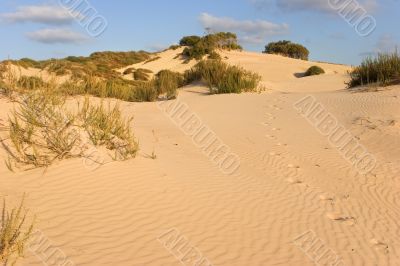 Clouds above sandy dunes.
