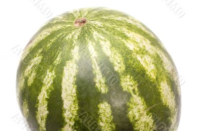 watermelon close up