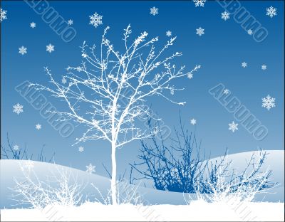 winter landscape