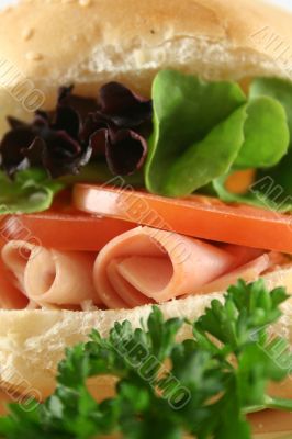 Ham And Salad Roll 7