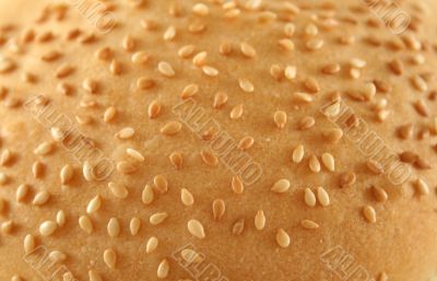 Sesame Seed Background