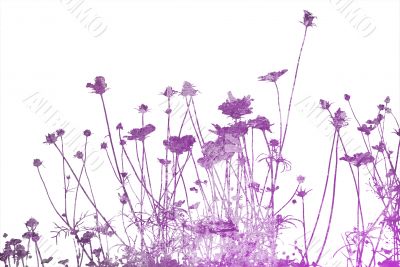 floral style textures