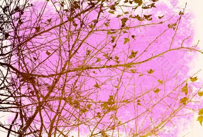 floral style textures