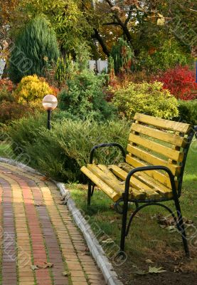 Bench in park