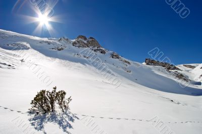 sunlight on pure snow