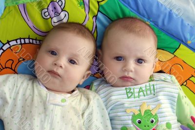 Twin baby boys