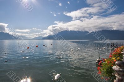 Fine lake Leman