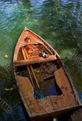 Bird in boat
